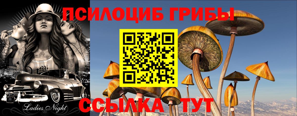 МЕТАДОН Ачхой-Мартан